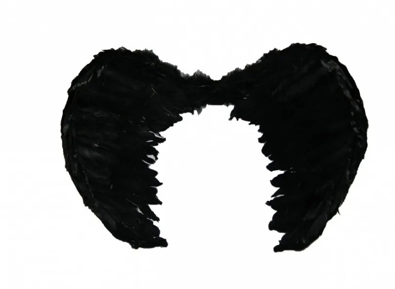 ASA ANJO ADULTO 70CM X 50XM